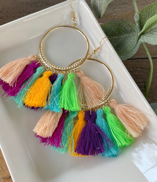 Multicolor Fringe & Hoop Earrings