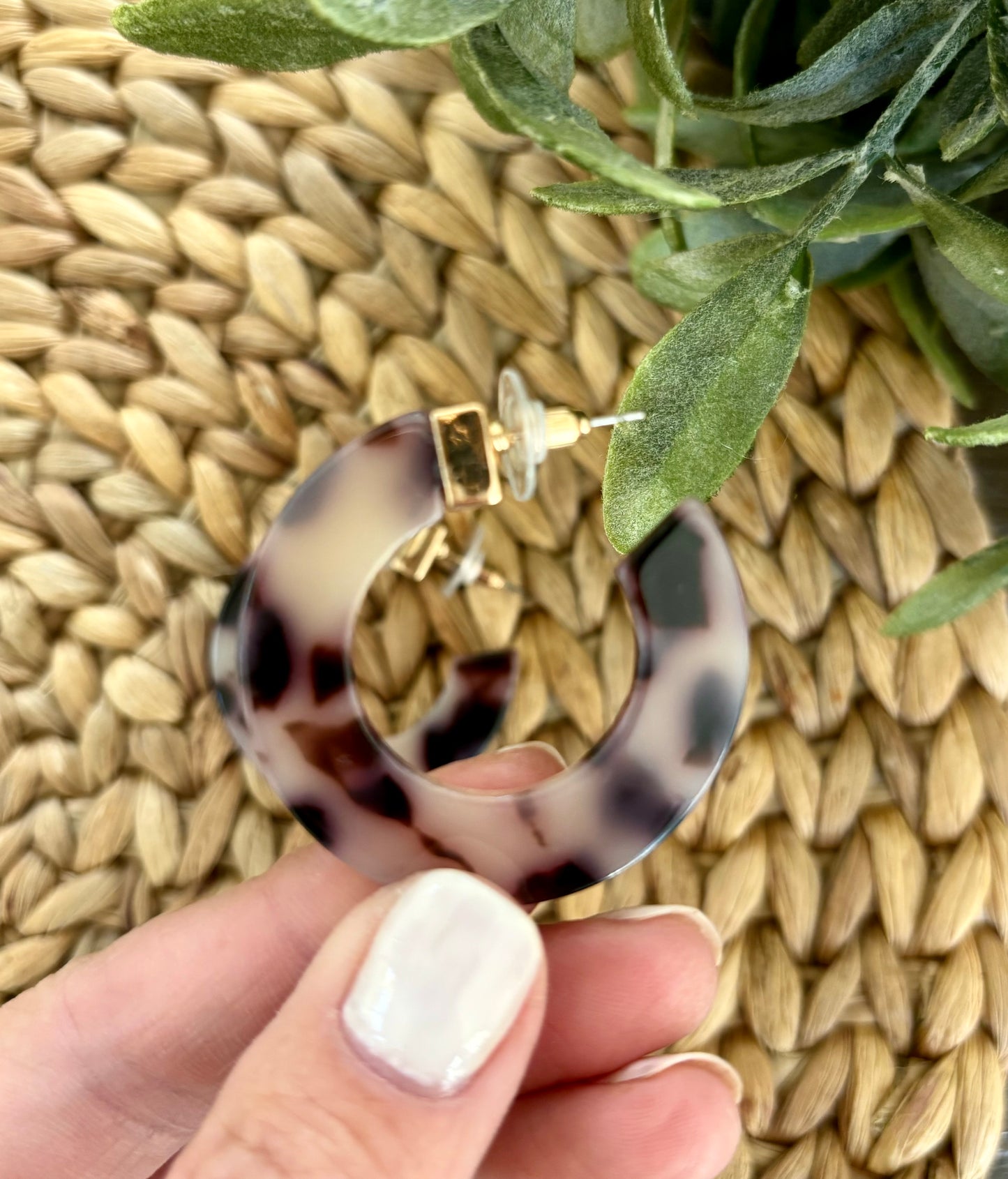 Tortoise Hoops