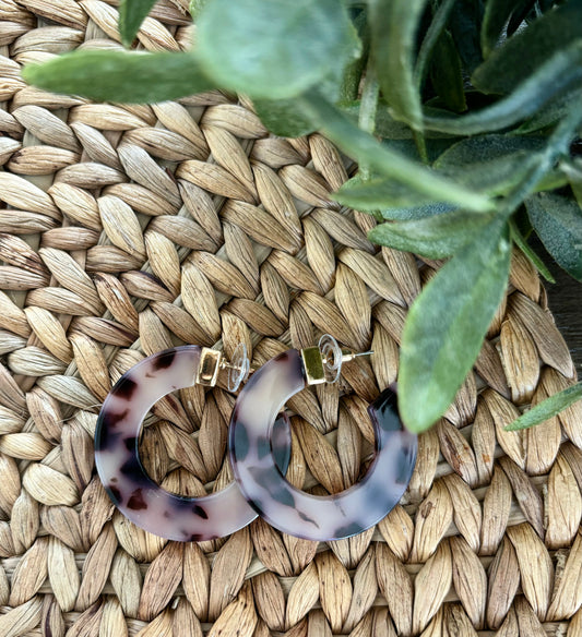 Tortoise Hoops